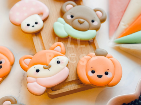 Herfst koekjes decoreren - 26 Oktober 10:00