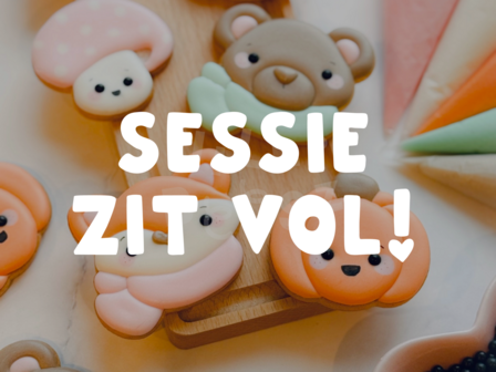 Herfst koekjes decoreren - 22 Oktober 11:15